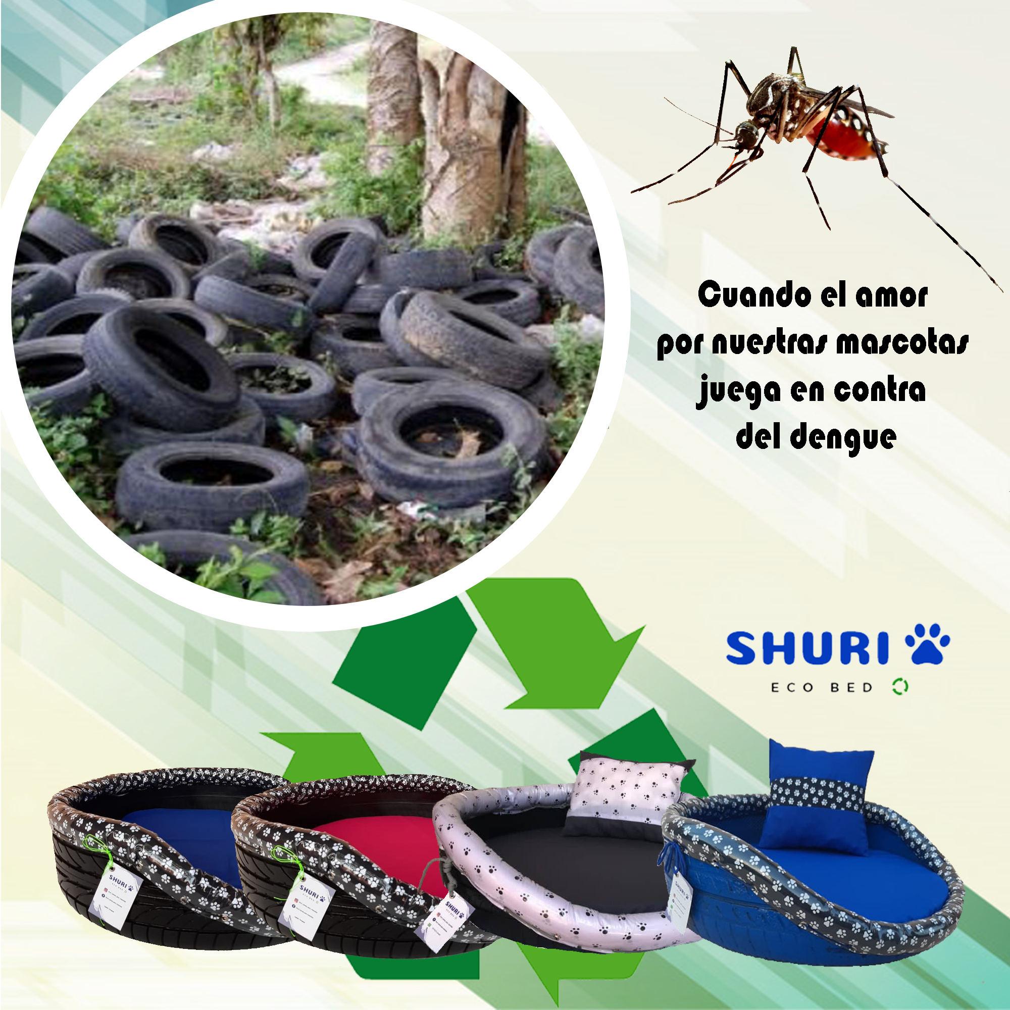 SHURI contra el dengue